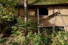Blick auf die Alte Scheune von Osten am  03.11.20, wilder Bewuchs rund um das Gebäude. Direkt am Fundament wächst ein KirschbaumFoto und Copyright: Andreas Schoelzel, www.schoelzel.net;