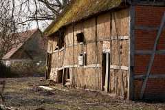 Blick auf die östliche Fassade der Alten Scheune im Februar 2021. Der Kirschbaum am Fundament ist gefällt, das Fachwerk ist nicht mehr ganz im Lot. Lehmfächer sind herausgefallen und ausgewaschen.Foto und Copyright: Andreas Schoelzel, www.schoelzel.net;