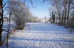 Blick vom Dachboden der Scheune in Richtung Feldmark, Januar 2021. Foto und Copyright: Andreas Schoelzel, www.schoelzel.net;