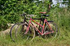 (Satemin) 05.06.25; Wendlandpartie 2025 in der Alten Scheune Satemin [Foto und Copyright: Andreas Schoelzel, www.schoelzel.net; M ail: post@schoelzel.net. Veroeffentlichung ist Honorarpflichtig (zuzuegl. MwSt) und Beleg . fon +4930 61609678. -NO MODEL RELEASE- Bei der Verwendung ausserhalb journalistischer Berichterstattung bitte vorher mit dem Autor Kontakt aufnehmen. Es wird grundsaetzlich keine Einholung von Persoenlichkeits-, Kunst- oder Markenrechten zugesichert, es sei denn, dies ist hier in der Bildbeschriftung ausdruecklich vermerkt. Die Einholung dieser Rechte obliegt dem Nutzer.]